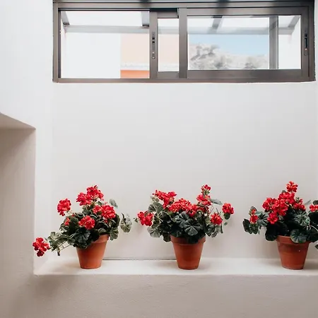 Telegraph House Country house *